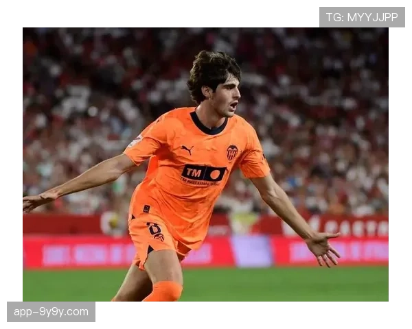 瓦伦西亚敲定马里国脚阿里乌·迪恩格自由转会